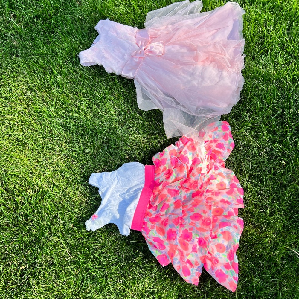 Bonnie Jean size 12 and Childrens place 7/8 girl dresses lot size